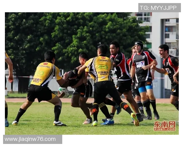 广州排球队灵活性变革引发热议展现新风貌与发展潜力